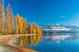 Best Things to Do in New Zealand Before Winter